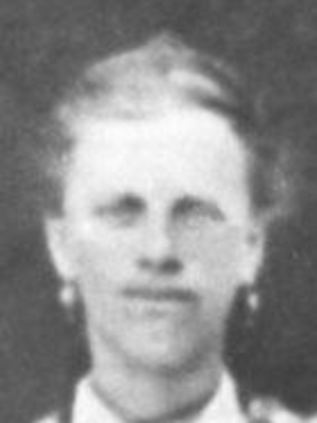 Lucina Nelson (1855 - 1897) Profile